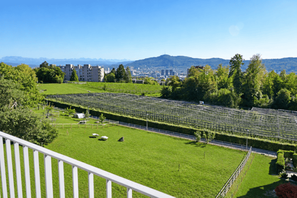 Exklusive 5.5-Zimmer-Attikawohnung am Hönggerberg mit Panoramablick 4