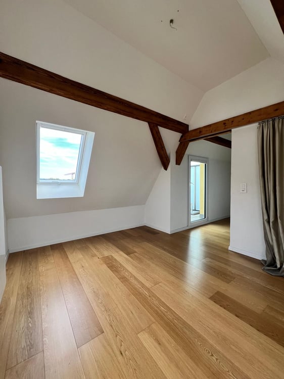 Charmante Dachmaisonette mit Dachterrasse und Alpenblick 15