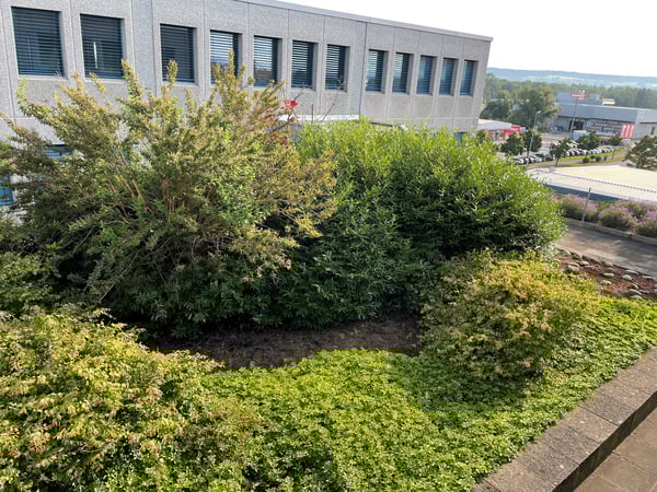 Büro mit 120m2 im Flughafengebiet Rümlang zu vermieten ab sofort 6