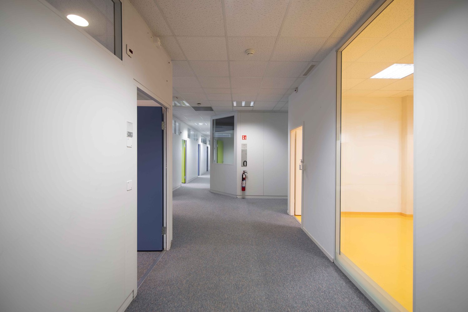 Empty hallway with gray carpet, yellow and white walls, doors, exit signs, fire extinguisher