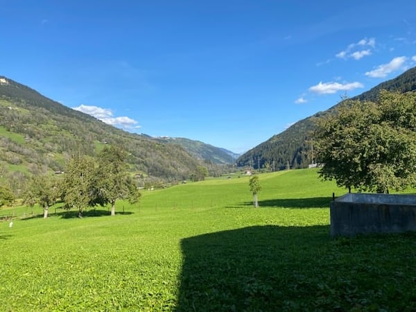 Ihr neues Domizil bietet alles was Ihren Traum mit Familie und Tieren wahr werden lässt 3