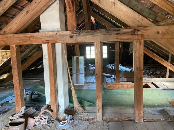 Ihr neues Domizil bietet alles was Ihren Traum mit Familie und Tieren wahr werden lässt 7