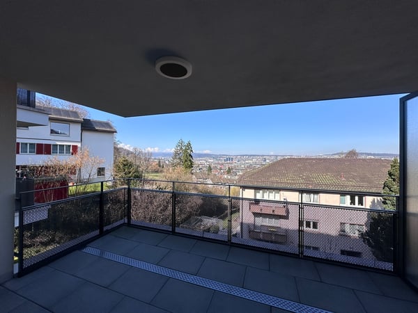 Zürichblick 9