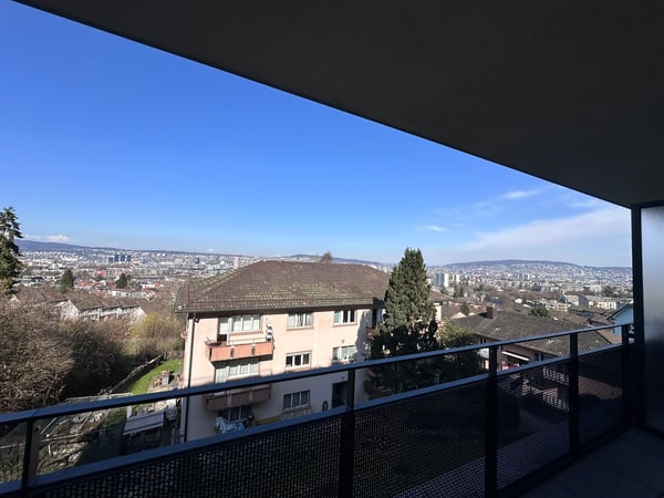 Zürichblick 8