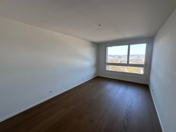 Zürichblick 7