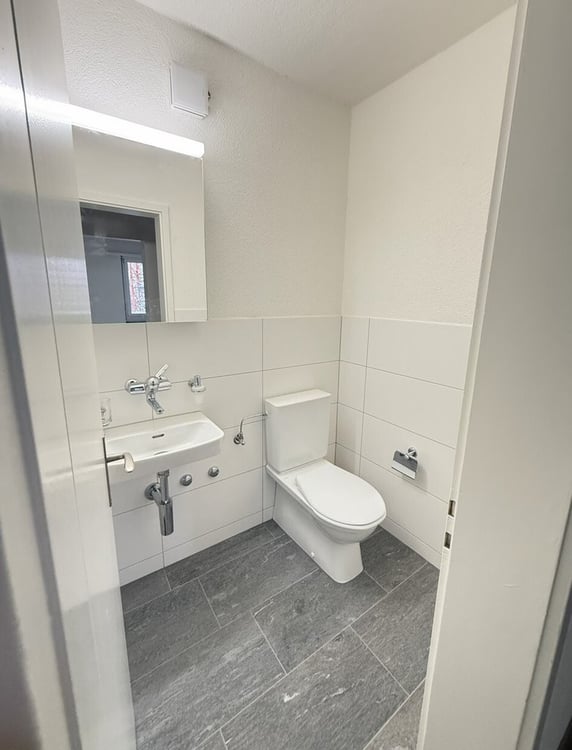 Frisch Sanierte Wohnung in Zürich 10