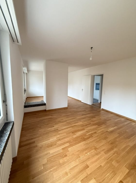 Frisch Sanierte Wohnung in Zürich 3