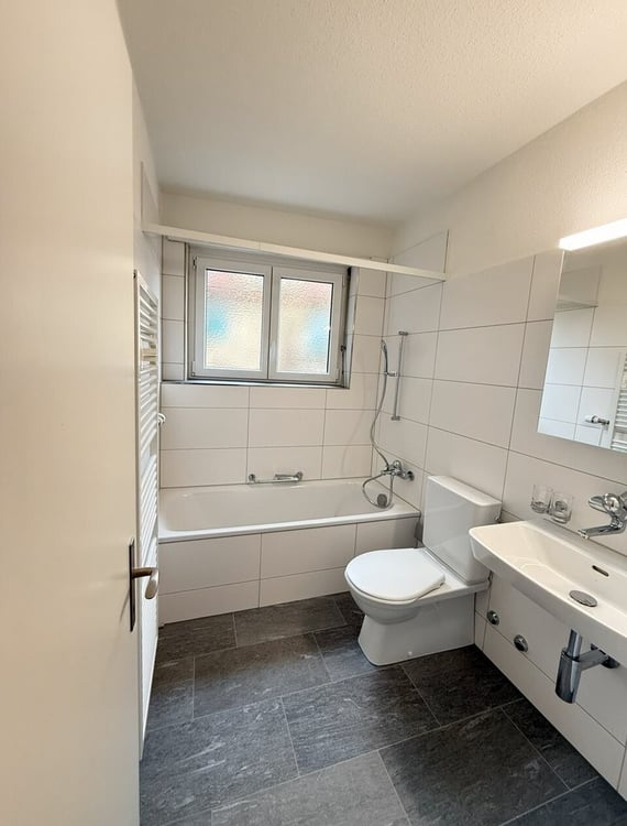 Frisch Sanierte Wohnung in Zürich 9