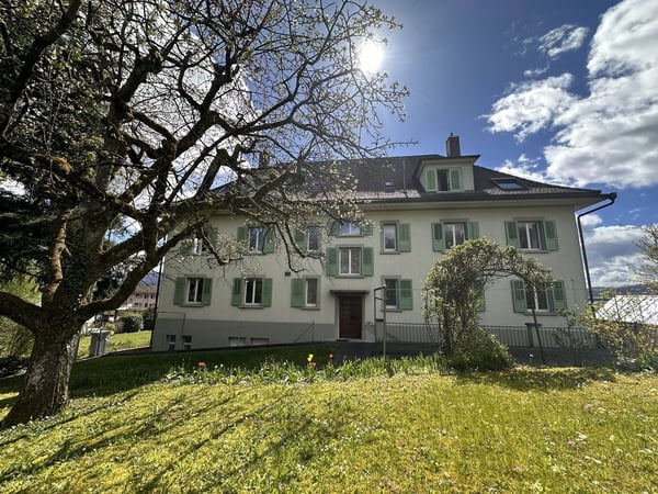 Charmante Wohnung mit grosszügigem Grundriss 1