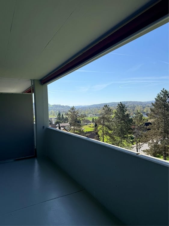 Komfortable 3.5 Zimmer Wohnung in Brugg 7