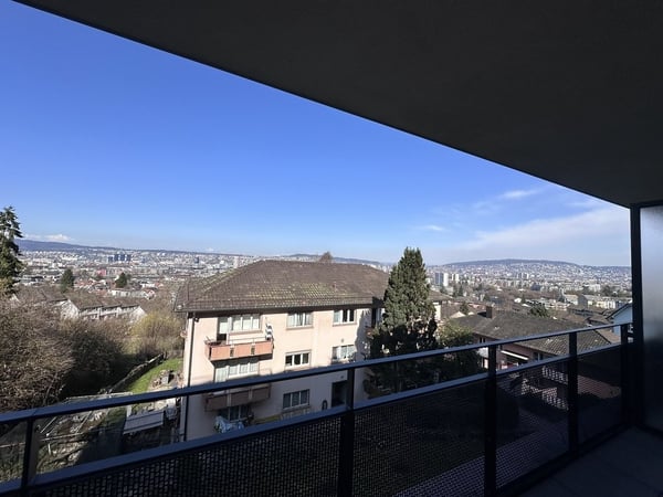 Zürichblick 8