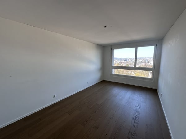 Zürichblick 7