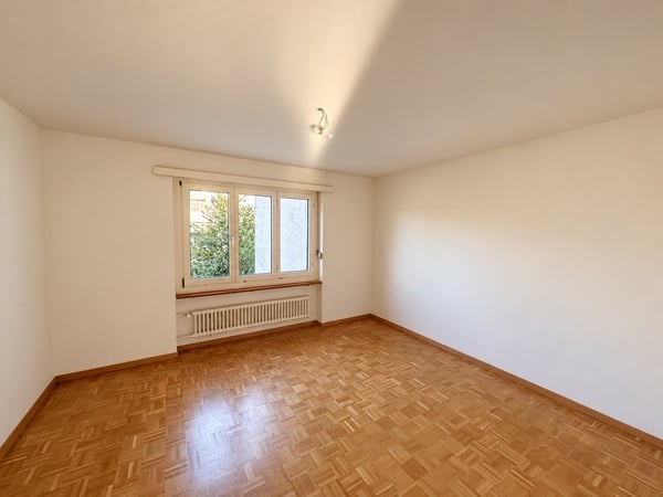 Hallo Dietikon 5