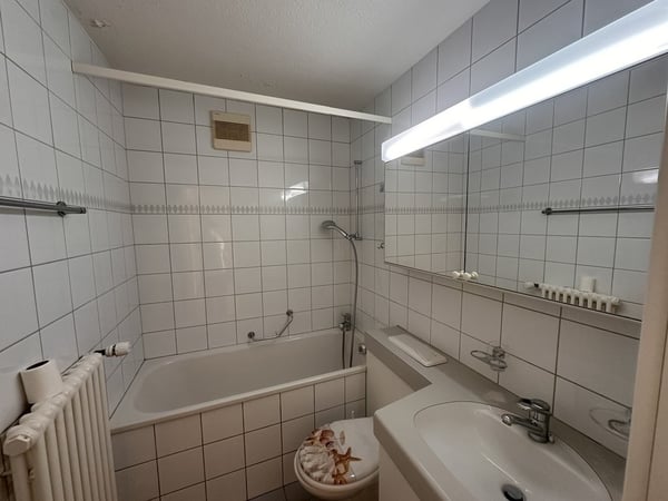 Hallo Dietikon 3