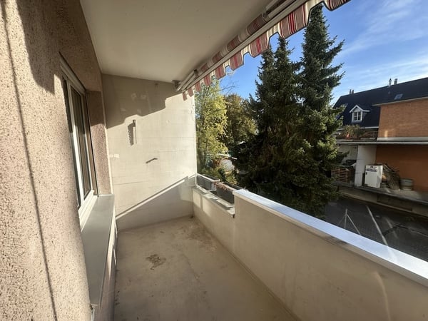 Hallo Dietikon 7