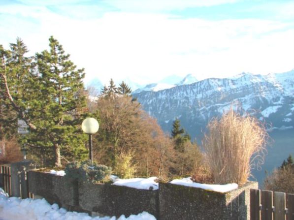 The image shows a scenic mountain landscape with pine trees in the foreground and snow-capped peaks in the background. There appears to be a fence or railing in the foreground, suggesting this is a viewpoint or observation deck overlooking the natural sce