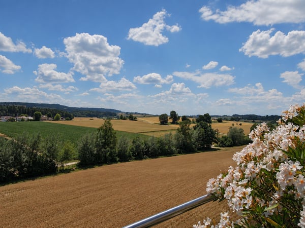 5.5-Zimmer-Attikawohnung mit 165 m² Wohnfläche und 170 m² Terrasse 14