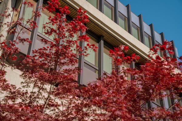 Ampio e luminoso openspace ristrutturato al 2° piano 6