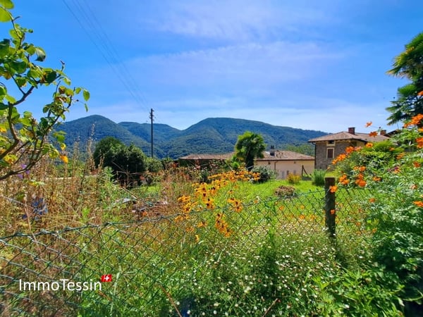 Bauland an schöner & ruhiger Lage mit Weitsicht in Monteggio mit Projekt zum top Preis 2
