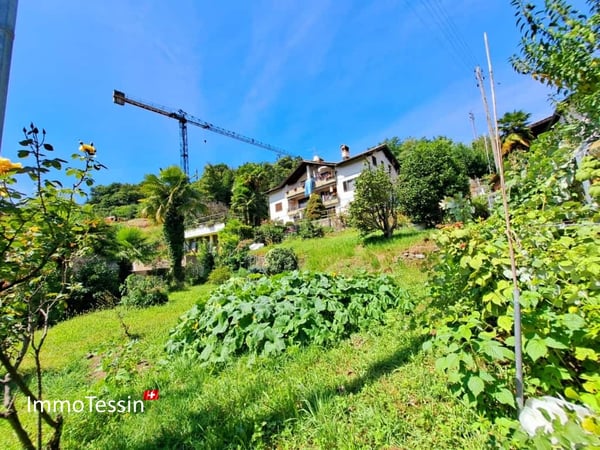 Bauland an schöner & ruhiger Lage mit Weitsicht in Monteggio mit Projekt zum top Preis 4