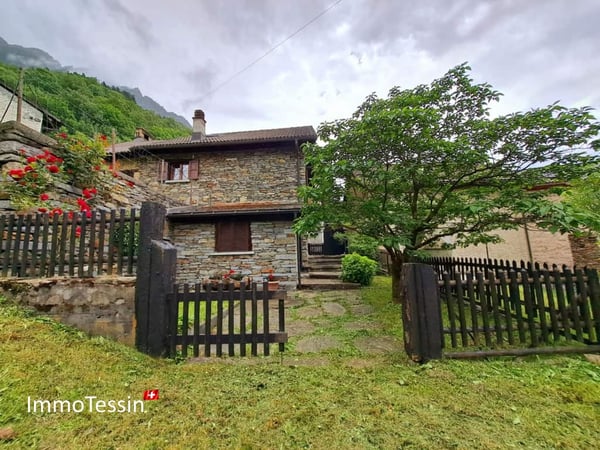 Aquila