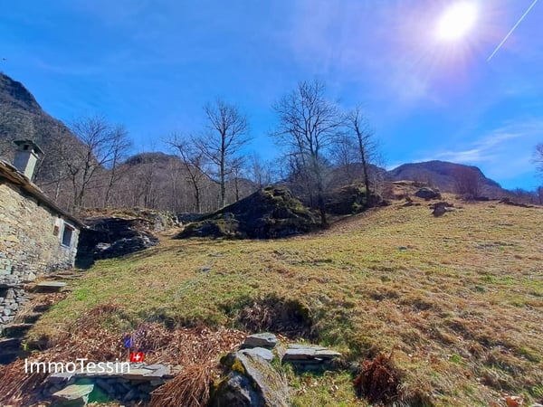 Rustico an aussergewöhnlicher Alleinlage inmitten eines 10`000 m2 Grundstückes 1