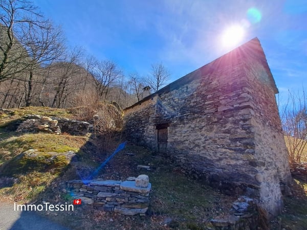 Rustico an aussergewöhnlicher Alleinlage inmitten eines 10`000 m2 Grundstückes 7
