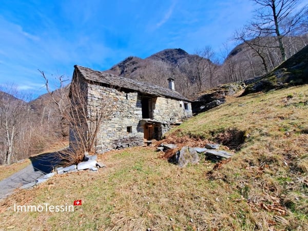 Rustico an aussergewöhnlicher Alleinlage inmitten eines 10`000 m2 Grundstückes 5