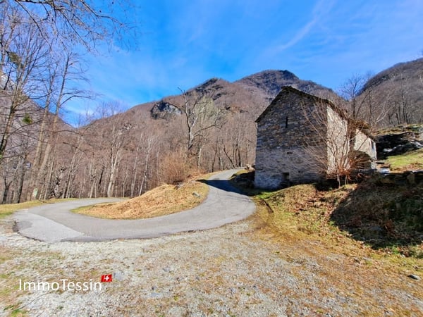 Rustico an aussergewöhnlicher Alleinlage inmitten eines 10`000 m2 Grundstückes 4