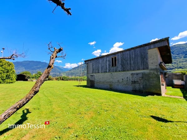 Einzigartiges Anwesen mit 2 Villen & Reitstall perfekt für Pferdehaltung, mit 4400 m2 Grundstück in Giubiasco 8