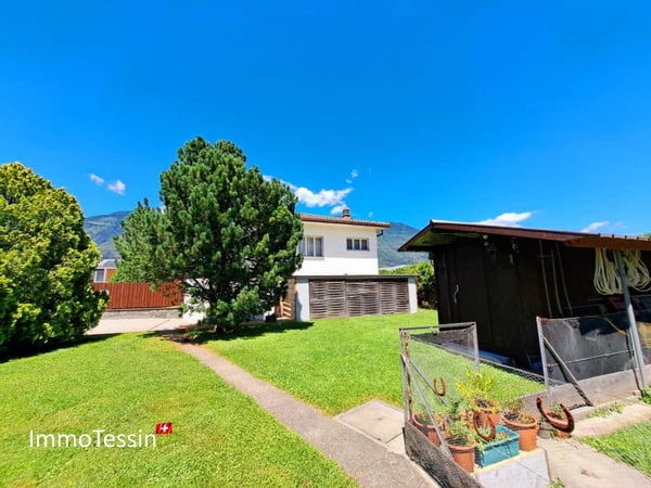 Villa mit Rebberg und riesigem Grundstück von 2200 m2 in Giubiasco 3