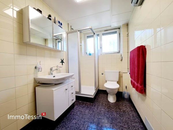 Villa mit Rebberg und riesigem Grundstück von 2200 m2 in Giubiasco 13