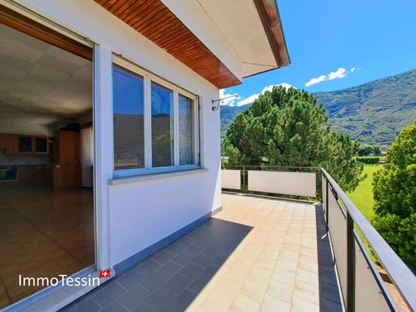 Villa mit Rebberg und riesigem Grundstück von 2200 m2 in Giubiasco 5