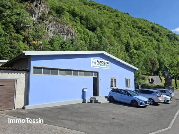 GELEGENHEIT: Strategisch gelegene Industriehalle mit attraktiven Möglichkeiten für Gewerbe, Logistik und Produktion 3