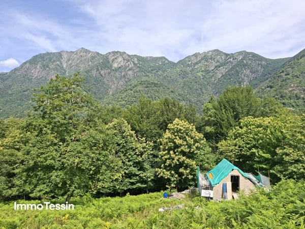 Authentisches Rustico an ruhiger Alleinlage mit freier Sicht in die Bergwelt und 3000 m2 Grundstück sowie bewilligtem Ausbauprojekt 1