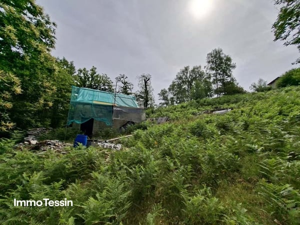 Authentisches Rustico an ruhiger Alleinlage mit freier Sicht in die Bergwelt und 3000 m2 Grundstück sowie bewilligtem Ausbauprojekt 3