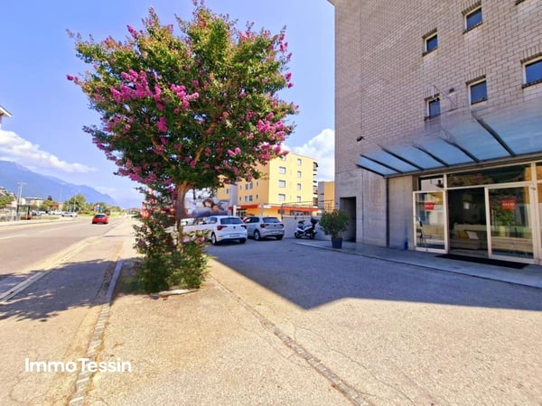 Showroom 363 m2 an Top Lage in Losone, aussergewöhnliche Gelegenheit, moderne und vielseitige Gewerbefläche 2