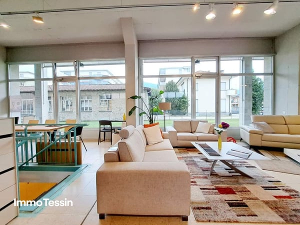 Showroom 363 m2 an Top Lage in Losone, aussergewöhnliche Gelegenheit, moderne und vielseitige Gewerbefläche 6