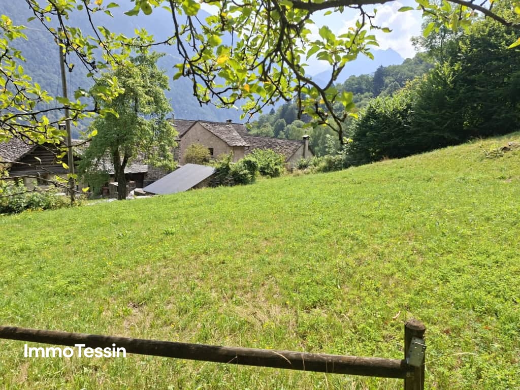 Immobilie in Corzoneso - Gemütliches Tessiner Rustico an ruhiger Lage mit fantastischer Berg und Talsicht ins Bleniotal - Bild 4