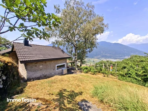 EINMALIG: Liegenschaft mit zwei Rustico und separatem Atelier an Panoramalage mit Weitsicht und riesigem Grundstück 4