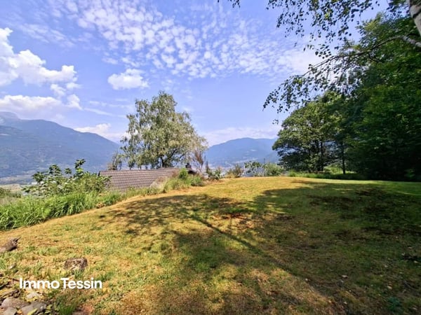 EINMALIG: Liegenschaft mit zwei Rustico und separatem Atelier an Panoramalage mit Weitsicht und riesigem Grundstück 5