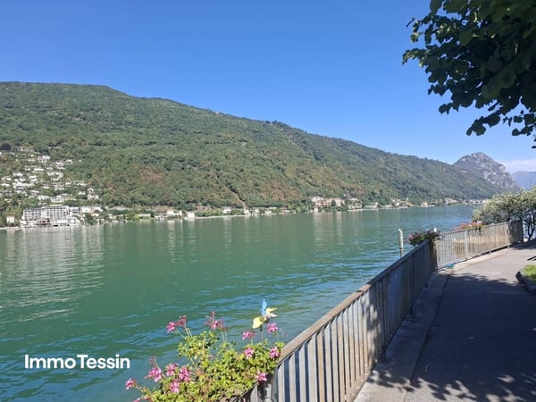 Attraktive Liegenschaft für Wohnen & Gewerbe unter einem Dach an super Lage am Lago di Lugano 3