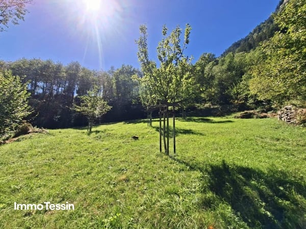 Ein wahres Alpenparadies: Authentisches und saniertes Rustico & ein unabhängiges Atelier und 3 Parzellen voller Freiheit auf 11000 m2 Grund 6