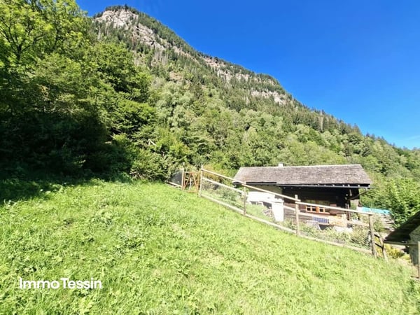 Ein wahres Alpenparadies: Authentisches und saniertes Rustico & ein unabhängiges Atelier und 3 Parzellen voller Freiheit auf 11000 m2 Grund 1