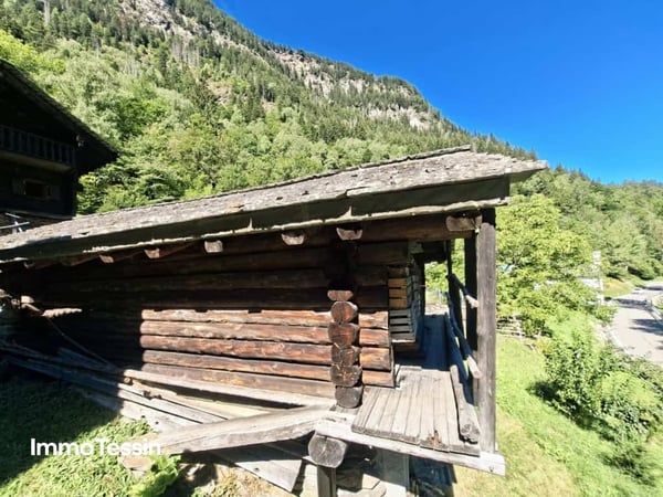 Ein wahres Alpenparadies: Authentisches und saniertes Rustico & ein unabhängiges Atelier und 3 Parzellen voller Freiheit auf 11000 m2 Grund 4