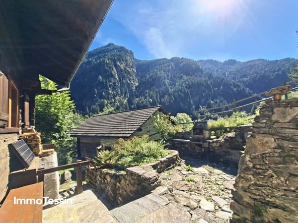 Ein wahres Alpenparadies: Authentisches und saniertes Rustico & ein unabhängiges Atelier und 3 Parzellen voller Freiheit auf 11000 m2 Grund 3