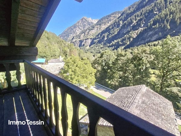 Ein wahres Alpenparadies: Authentisches und saniertes Rustico & ein unabhängiges Atelier und 3 Parzellen voller Freiheit auf 11000 m2 Grund 5
