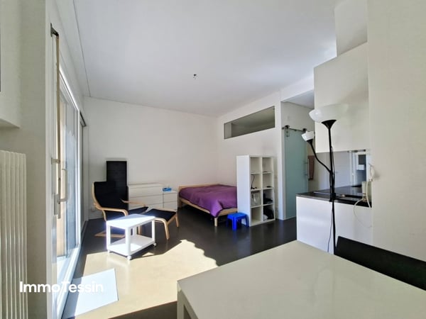 Top Preis & Zweitwohnsitz: Renovierte Ferienwohnung an bester Lage mit Seesicht und nahe der Promenade von Locarno 8