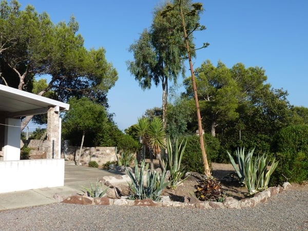 Villetta con Dépendance e Ampio Terreno a Carloforte, Sardegna 6
