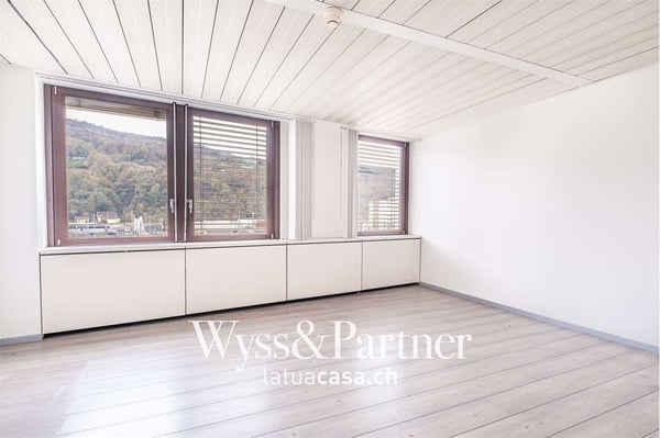 Chiasso - ampio e luminoso spazio commerciale 5